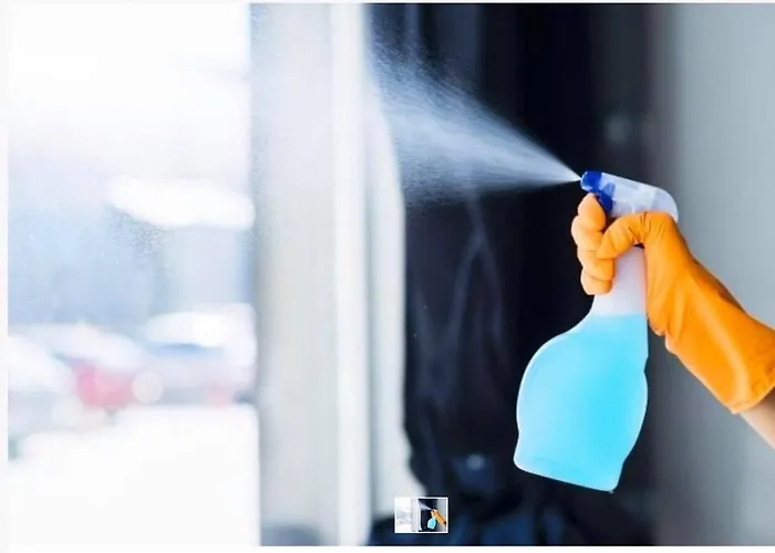 Magnolia Apartment Split